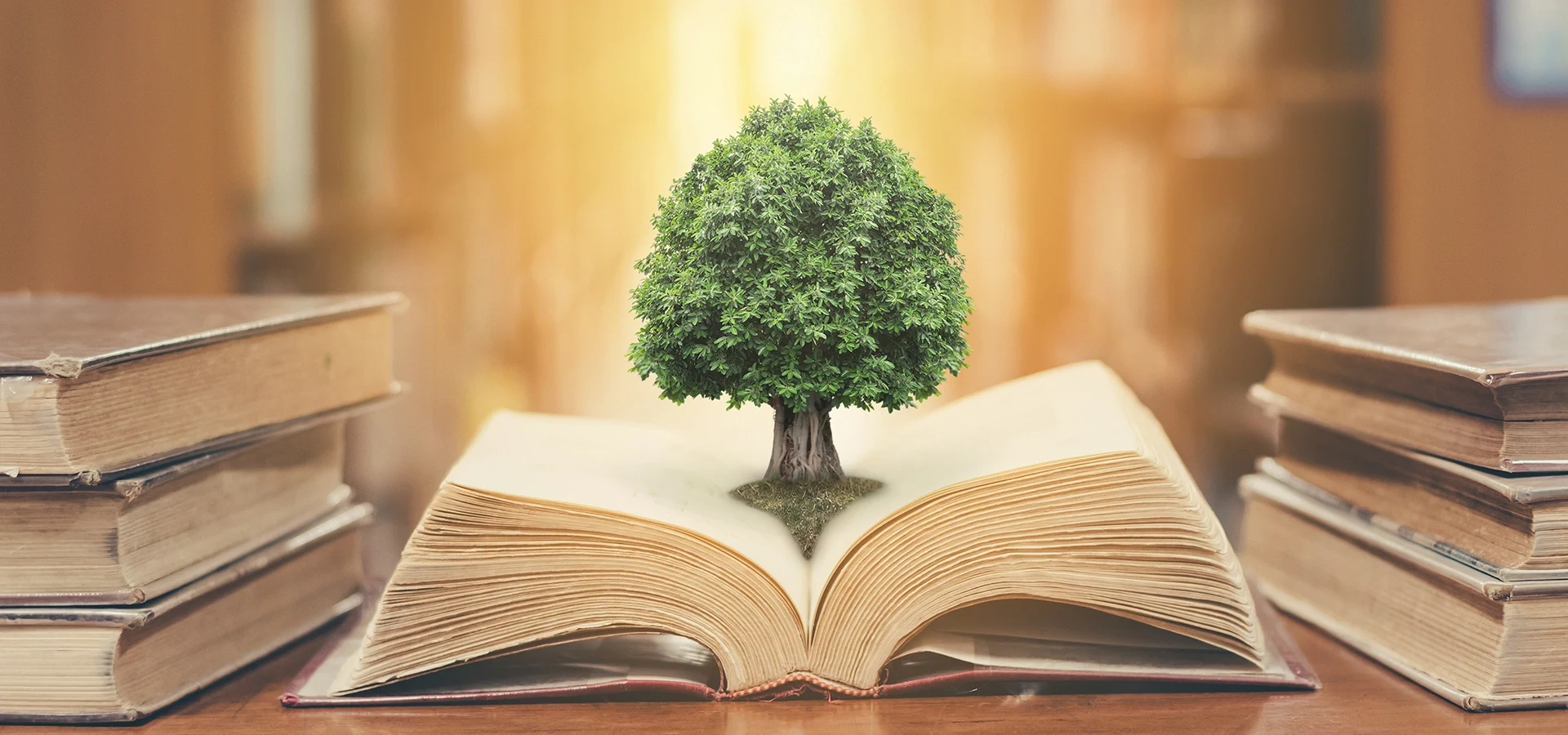 drzewo na książce
